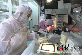 鹿泉經(jīng)濟(jì)開發(fā)區(qū) 以精準(zhǔn)服務(wù)為引擎，大力扶持高新技術(shù)企業(yè)騰飛