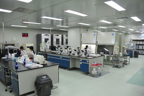 企業(yè)拔節(jié)開花，蘭州戰(zhàn)略性新興產(chǎn)業(yè)占比持續(xù)提升